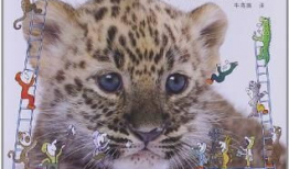 动物王国漫画,趣味漫画中的动物智慧与友谊